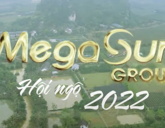 Team Building Chương trình Megasun Hội ngộ 2022 mừng Megasun 10 tuổi